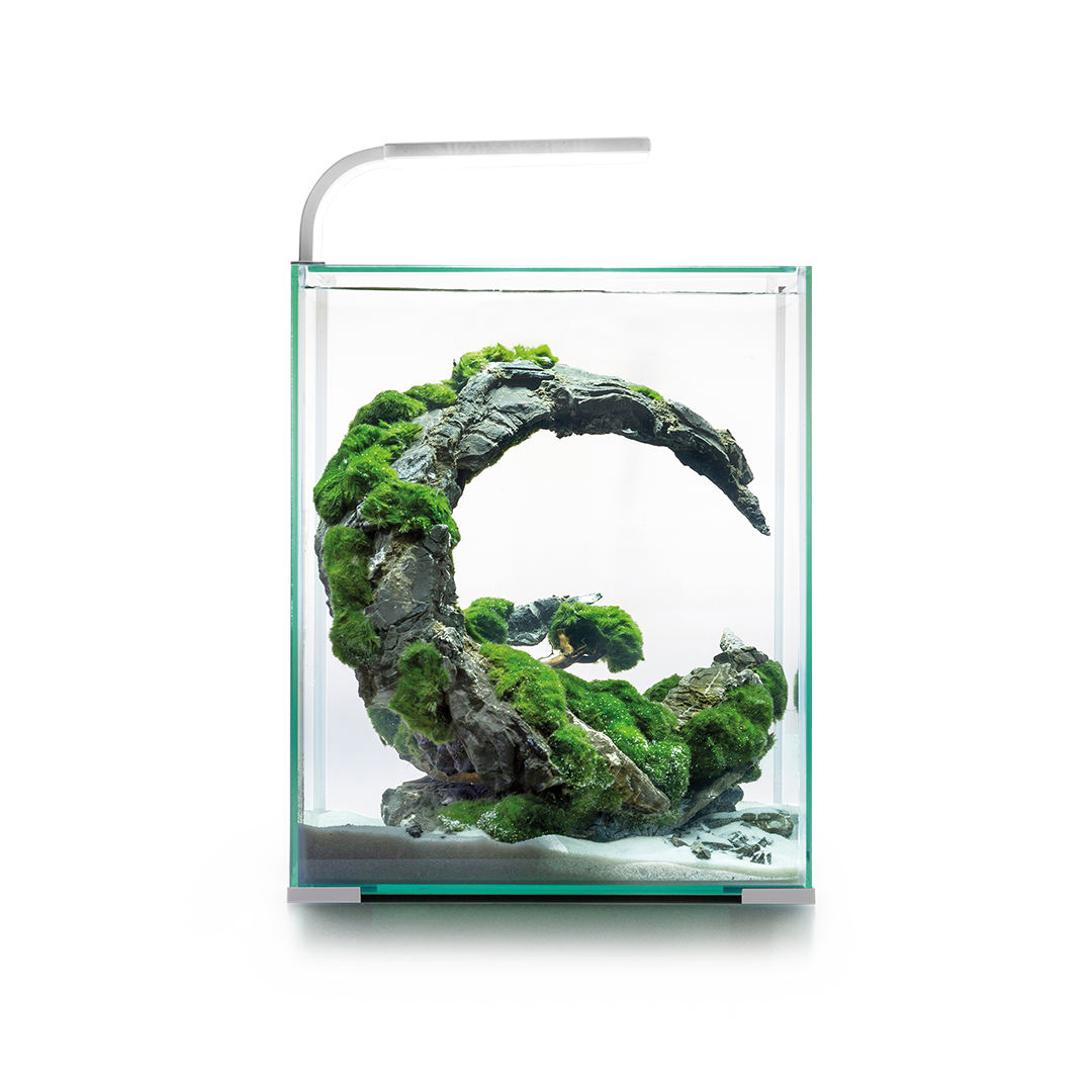 Aquael Shrimp Set Day & Night
