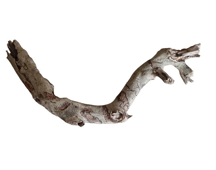 Talawa Wood  Nr. 229