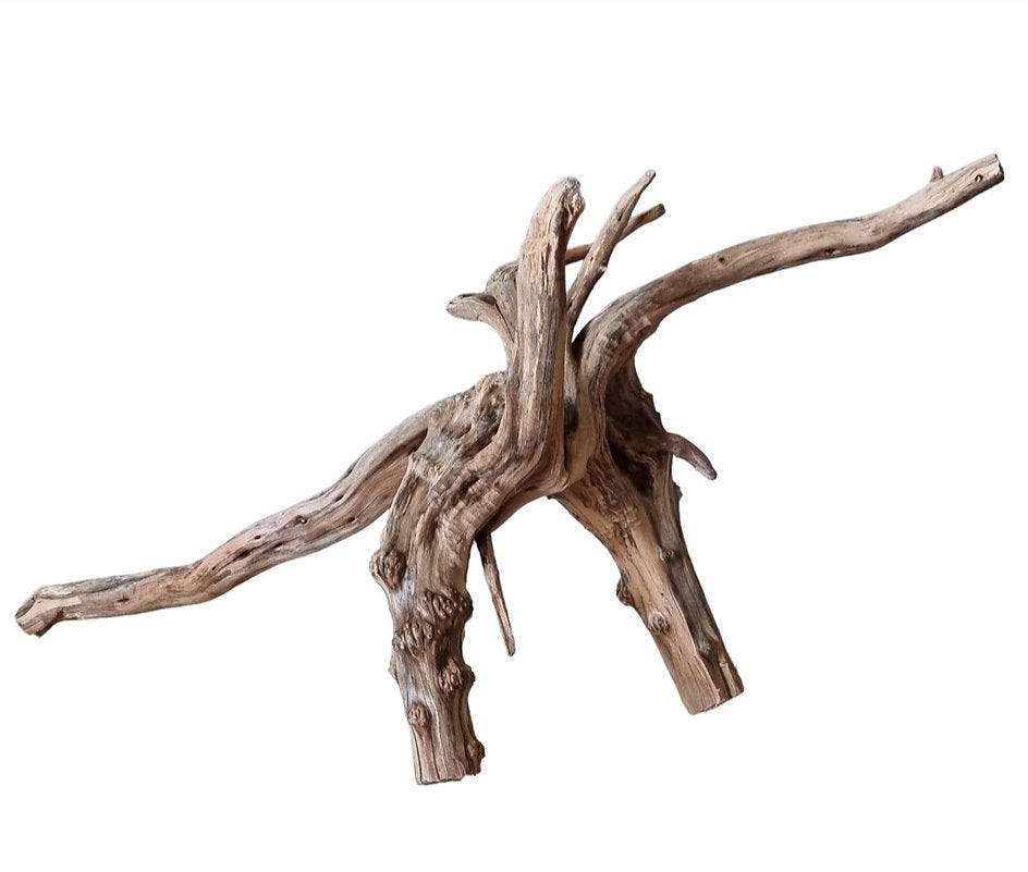 WIO Tree Trunk Wood  Wurzel 330