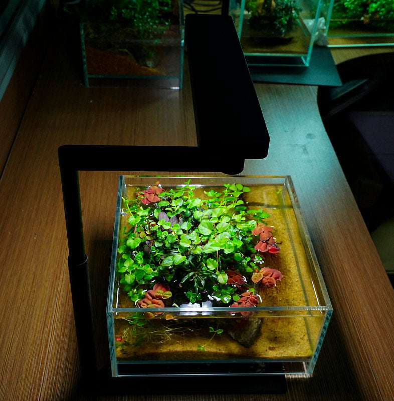 Chihiros C2 Serie LED 15W 20-35cm - DE Version