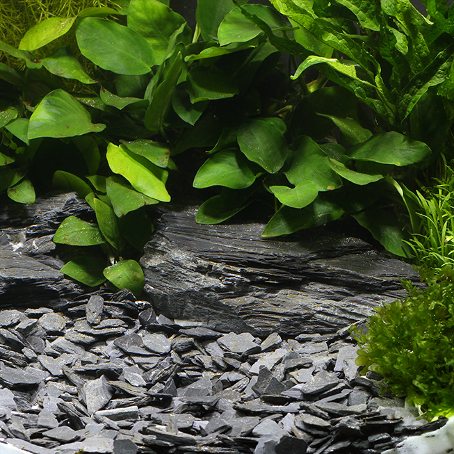 Dennerle Natural Gravel Kongo 10 – 30 mm