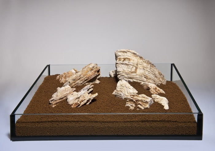 Helle Pagode-Set  ( verschiedene Größen )