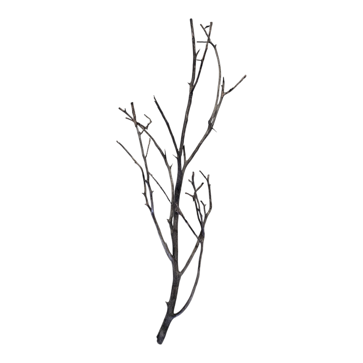 Octopus Wood  Nr. 810