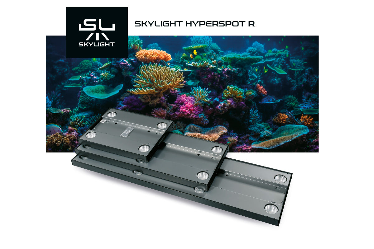Skylight HYPERSPOT R (Meerwasserversion )