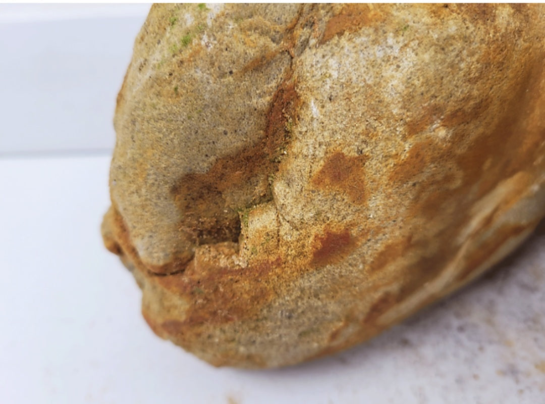 WIO BUMBLEBEE BOULDER STONES ( Preis pro Stück )