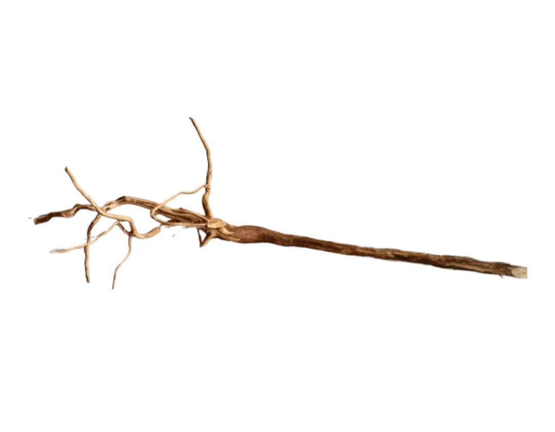 Dark Snake Wood   Nr.437