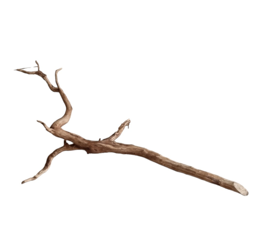 Dark Snake Wood   Nr.442