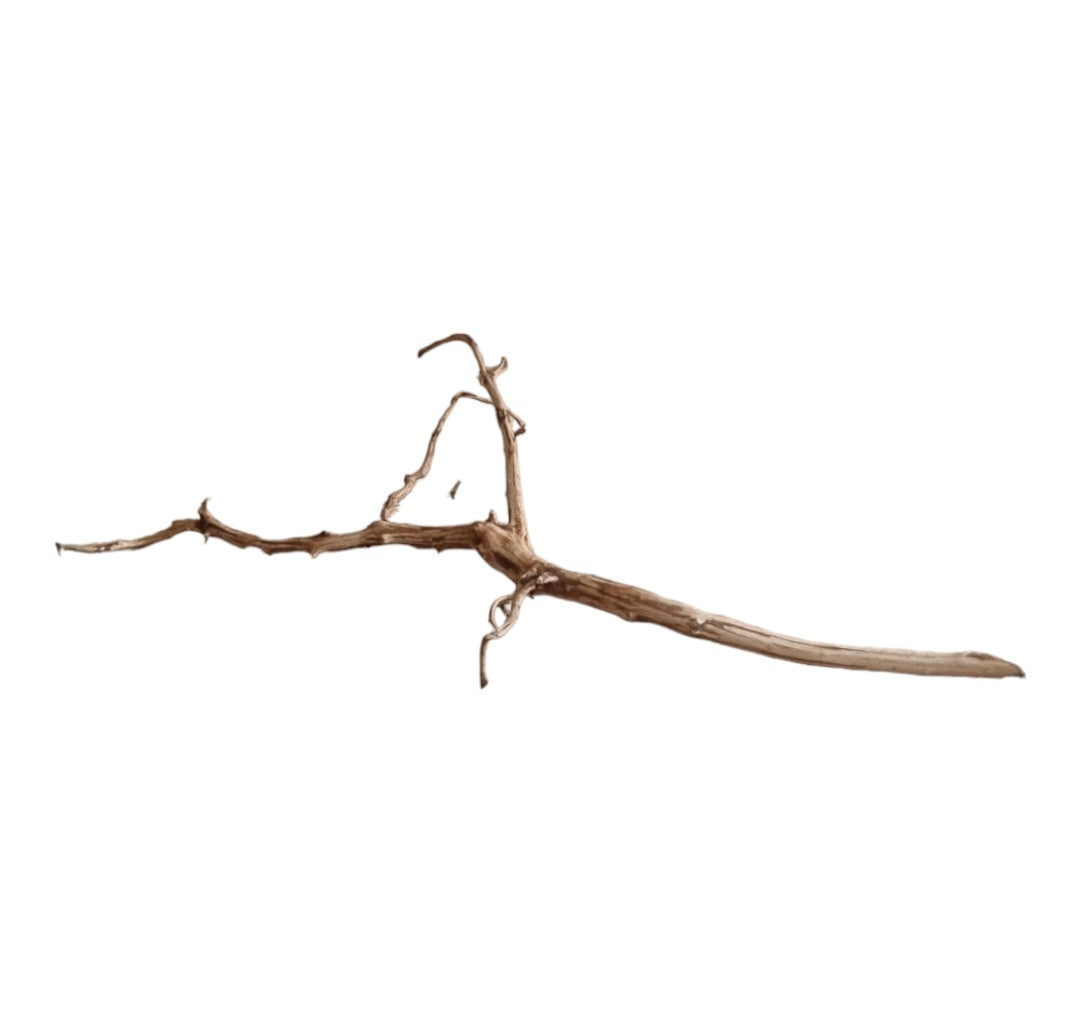 Dark Snake Wood   Nr.444