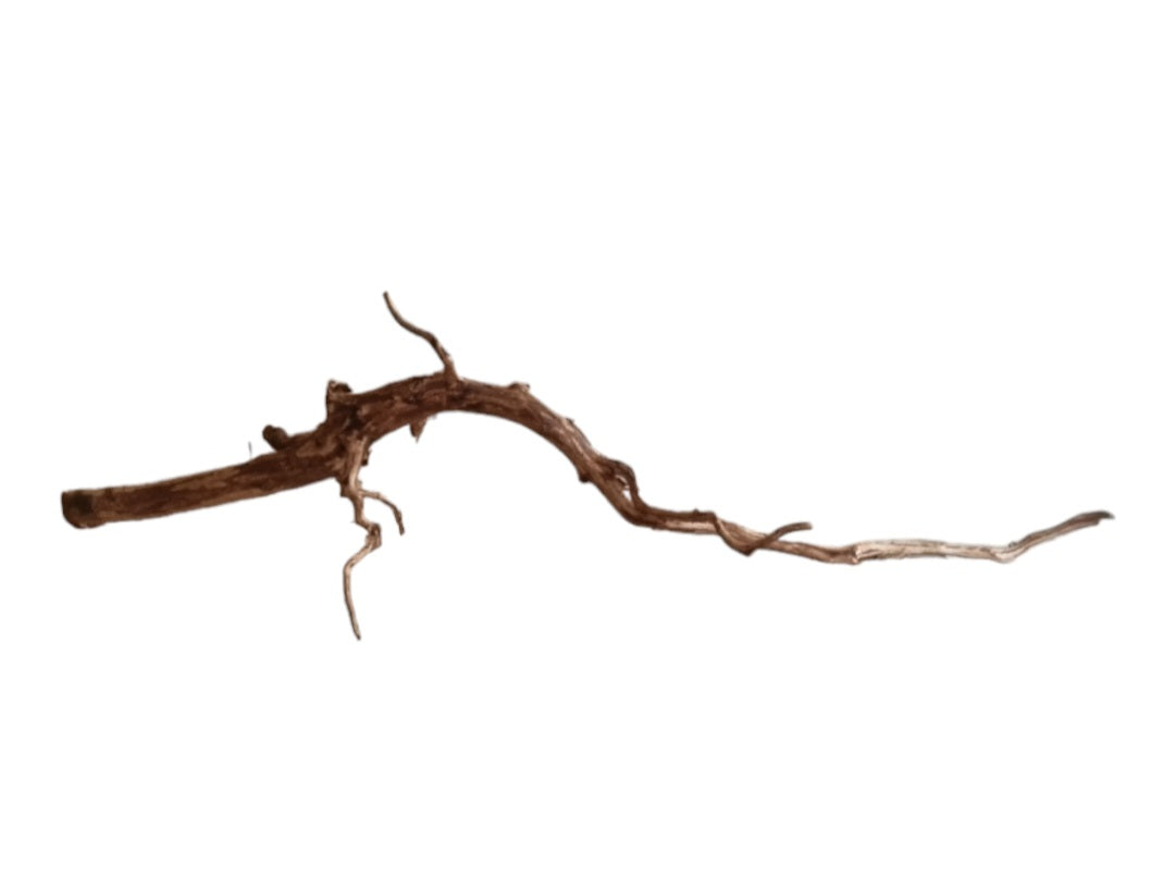Dark Snake Wood   Nr.446