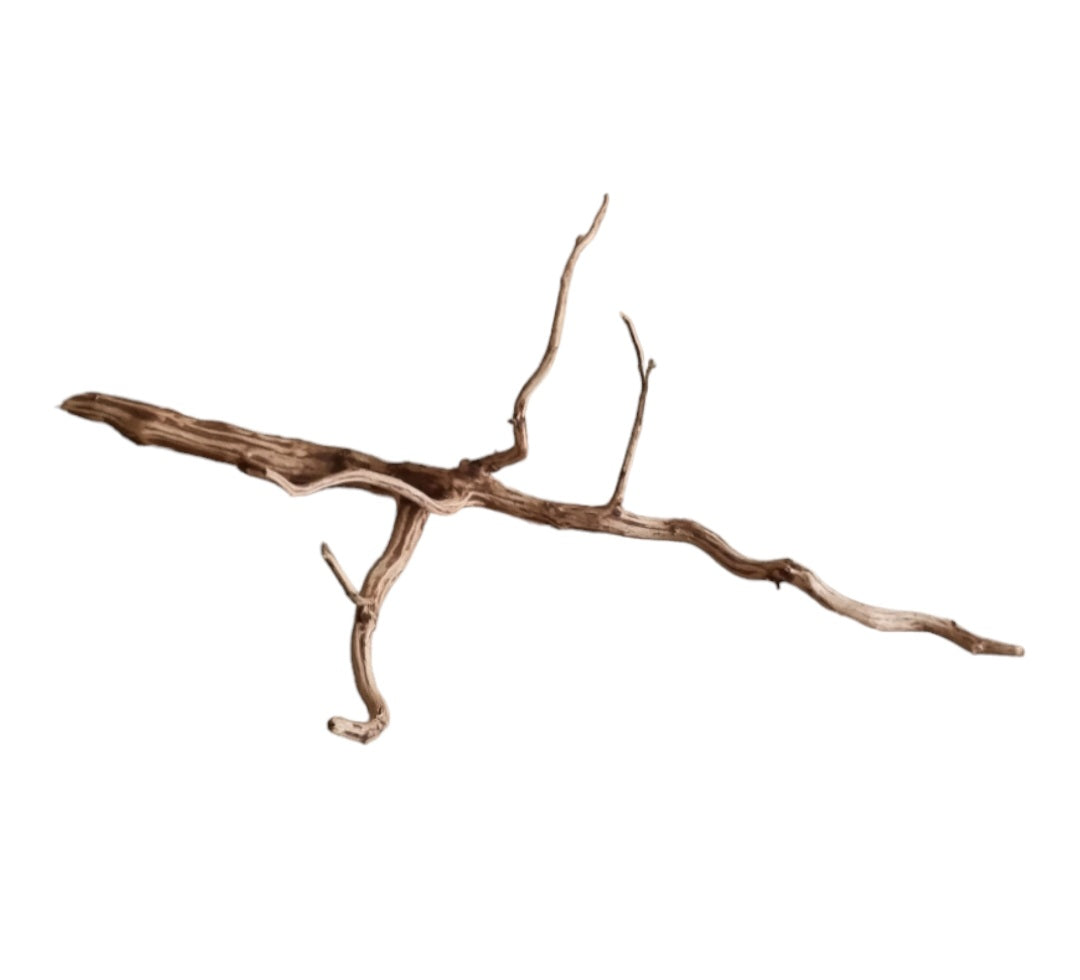 Dark Snake Wood   Nr.448