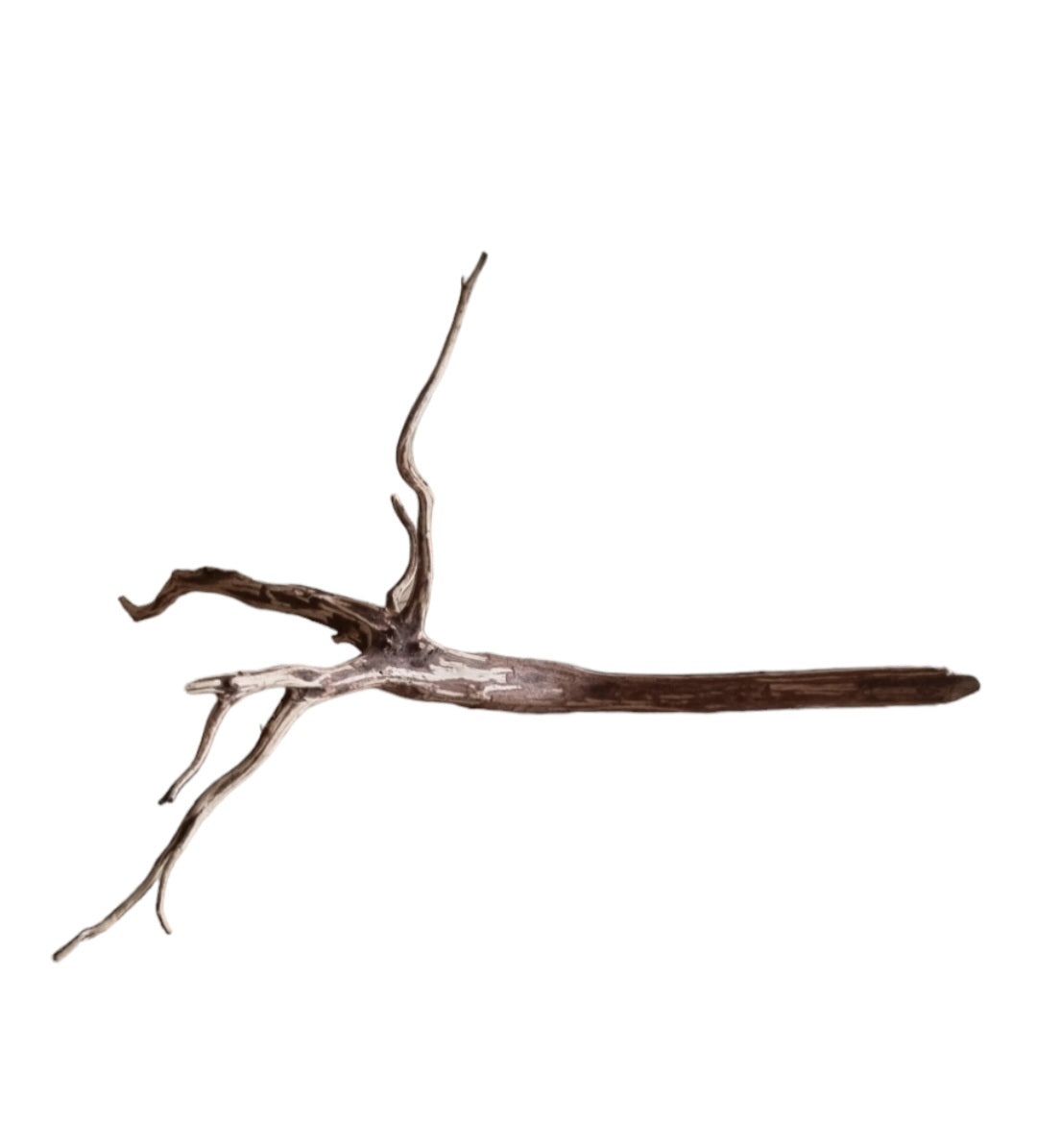 Dark Snake Wood   Nr.454