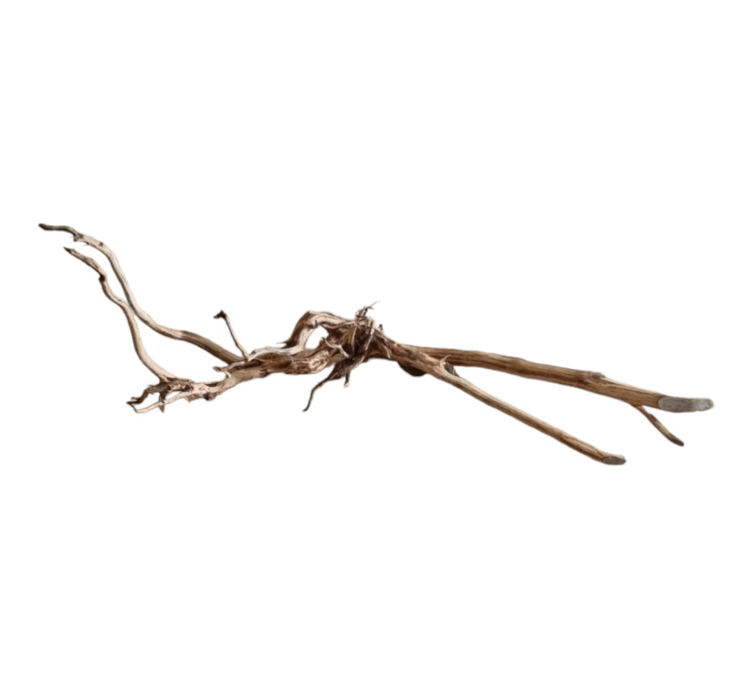 Dark Snake Wood   Nr.456