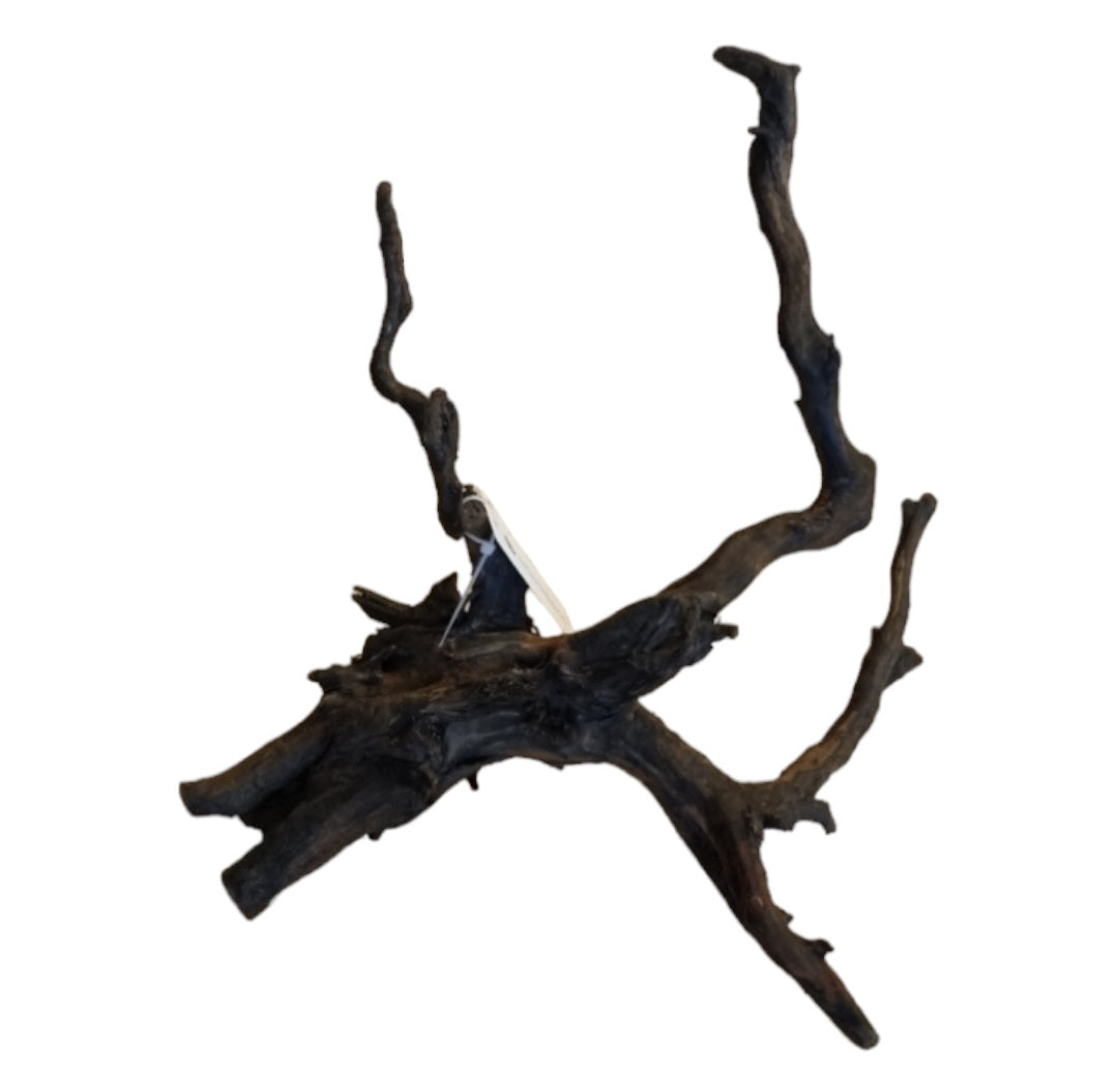 Black Root M  Nr.429