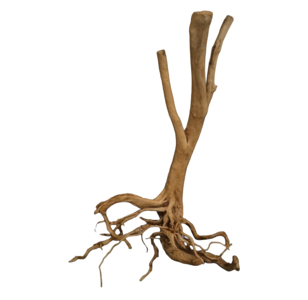 Rainforest Wood Stump  Nr.471