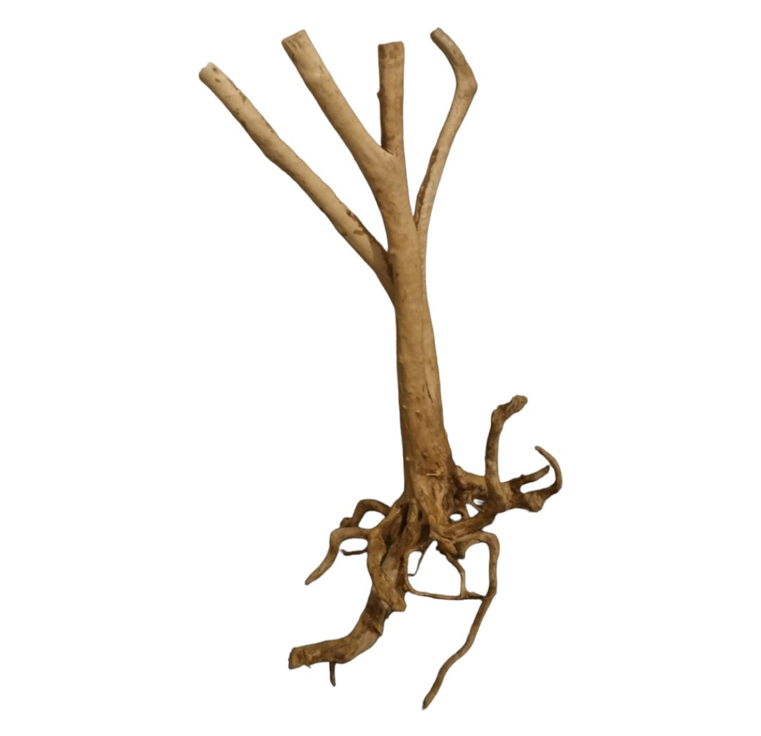 Rainforest Wood Stump  Nr.468