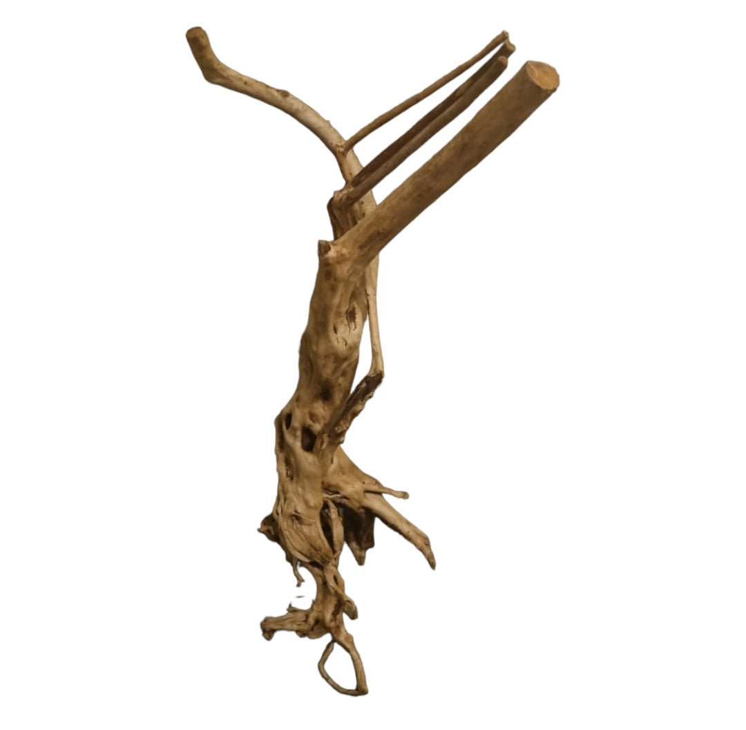 Rainforest Wood Stump  Nr.467
