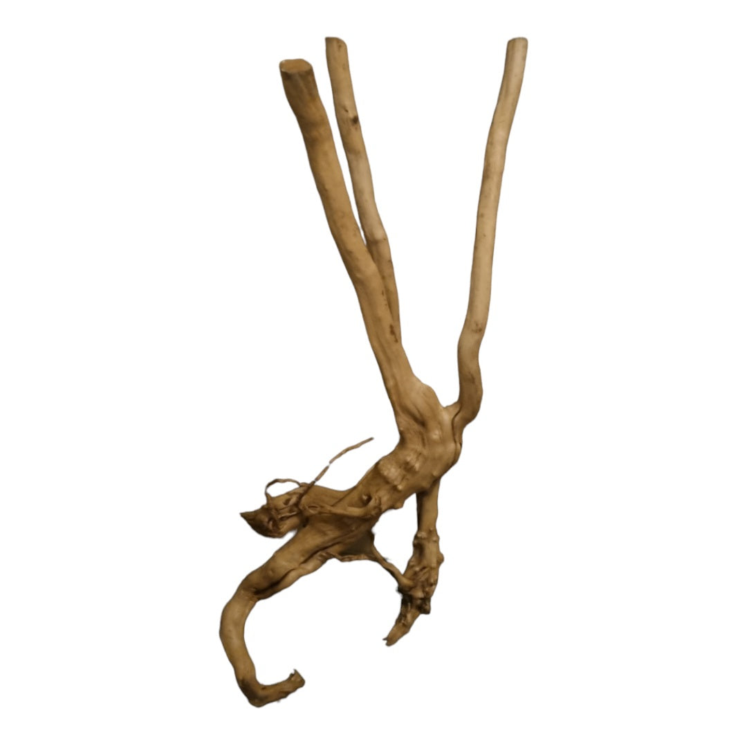 Rainforest Wood Stump  Nr.466