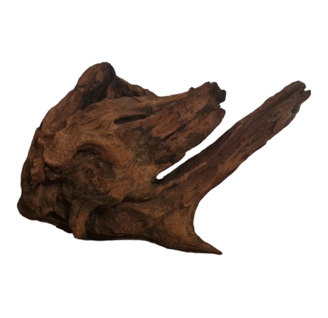 Driftwood / Flusswurzel   Nr. 493