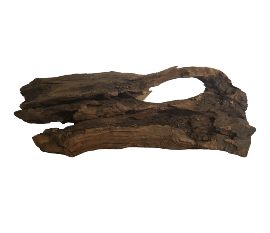 Driftwood / Flusswurzel   Nr. 492