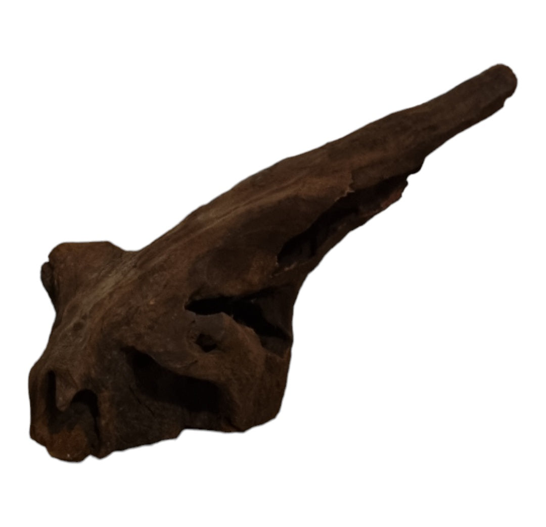 Driftwood / Flusswurzel   Nr. 487
