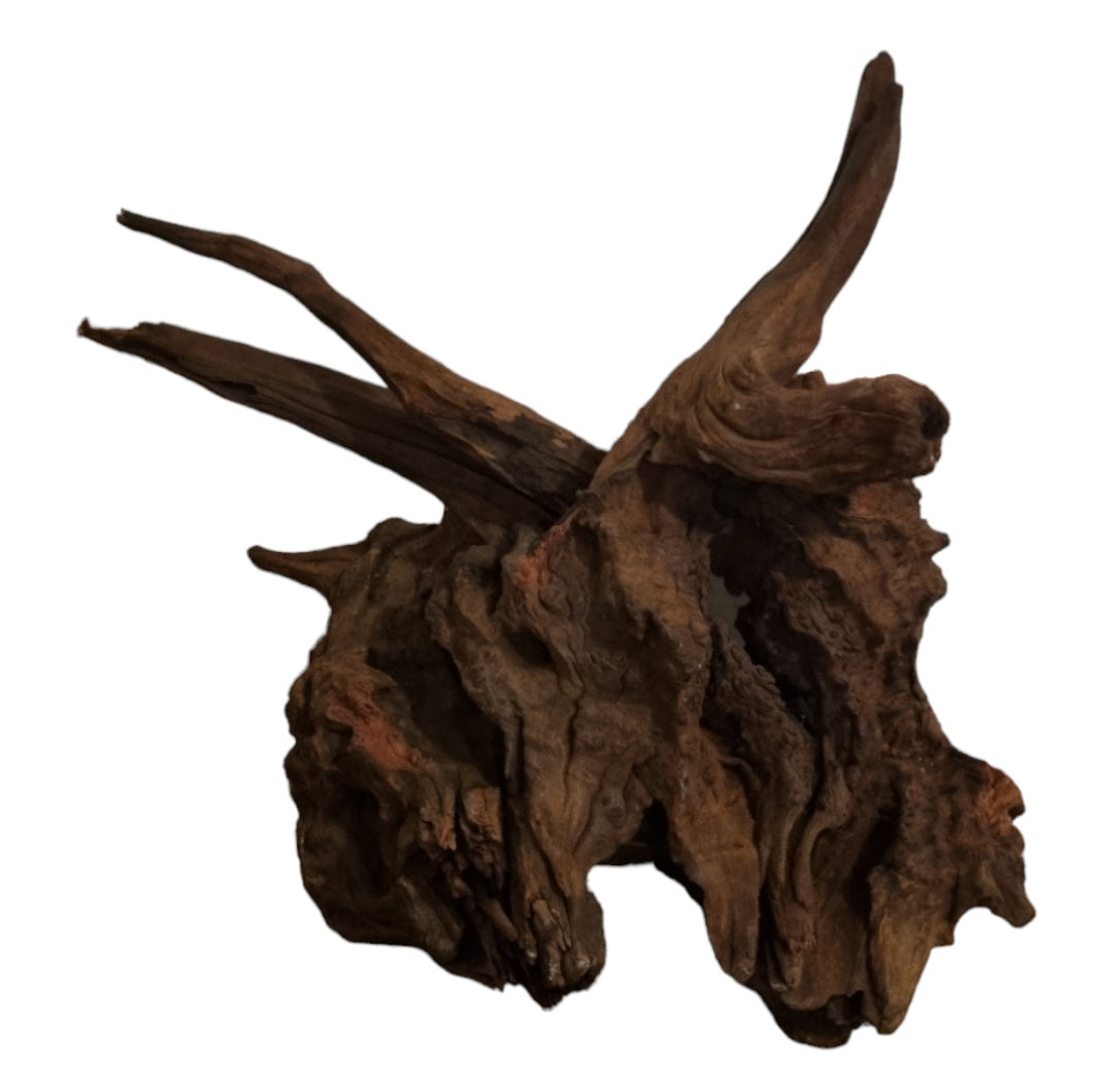 Driftwood / Flusswurzel   Nr. 482
