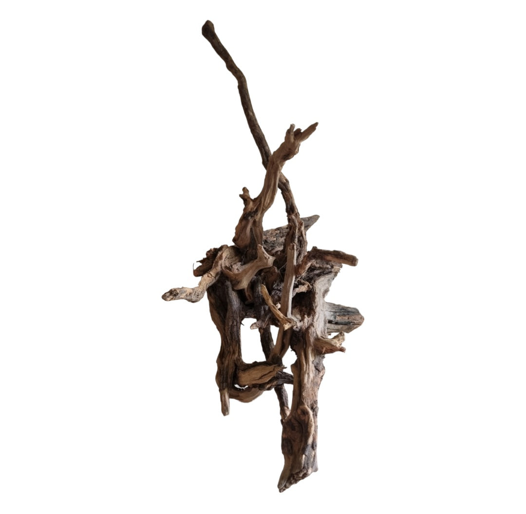 Coral Sinker Wood   Nr.552