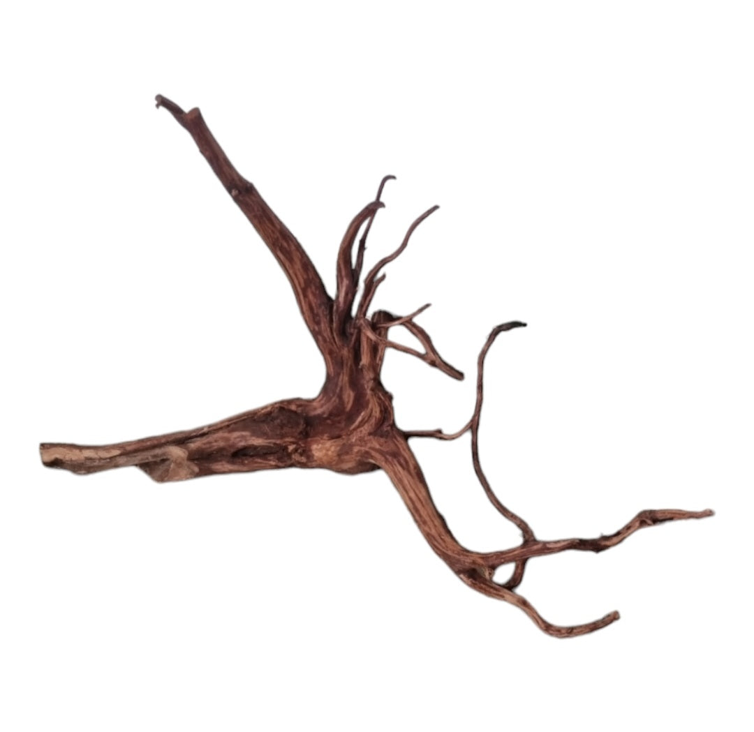 Dark Snake Wood   Nr.580