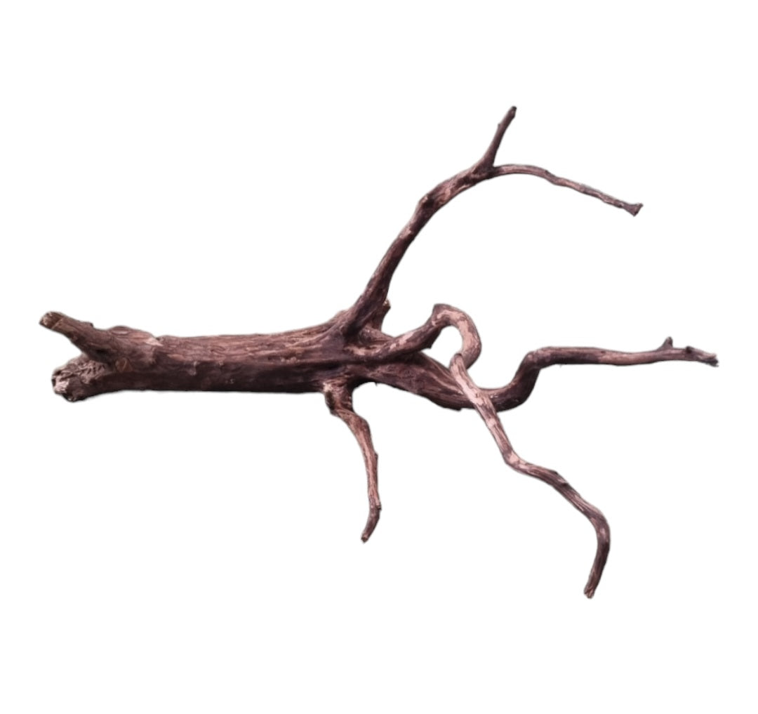 Dark Snake Wood   Nr.590