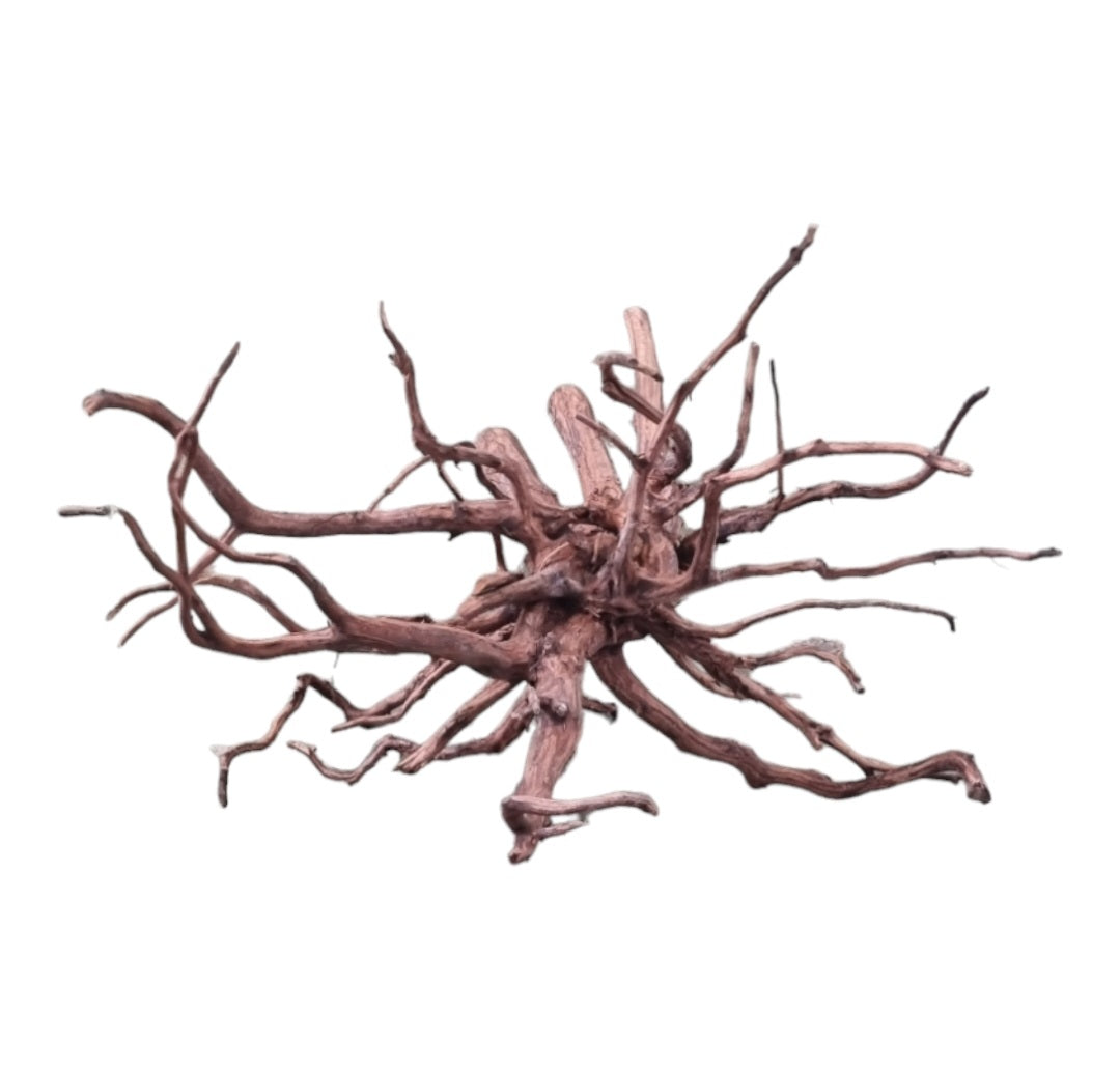 Dark Snake Wood   Nr.587
