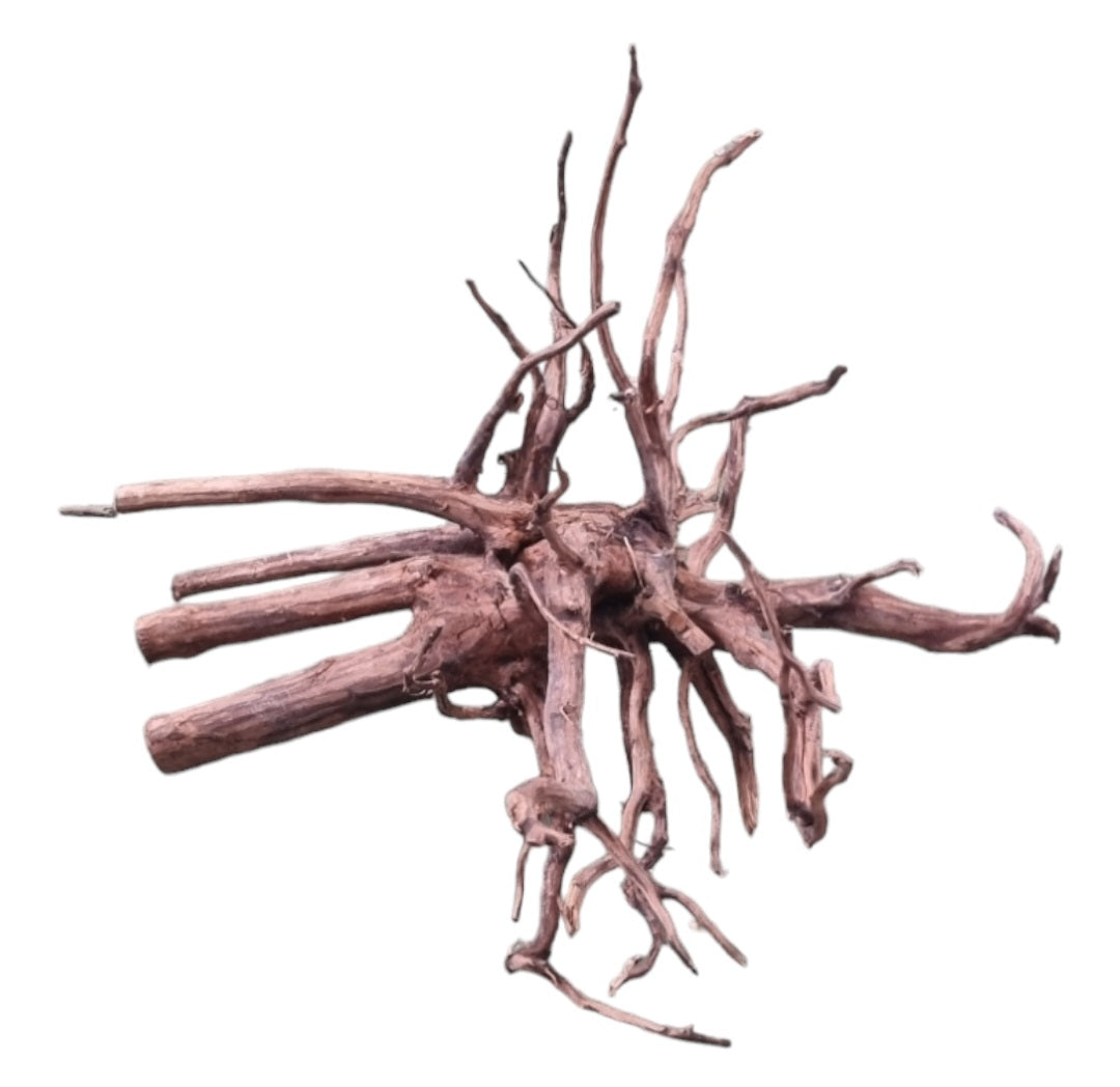 Dark Snake Wood   Nr.587