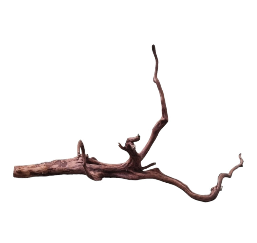 Dark Snake Wood   Nr.583