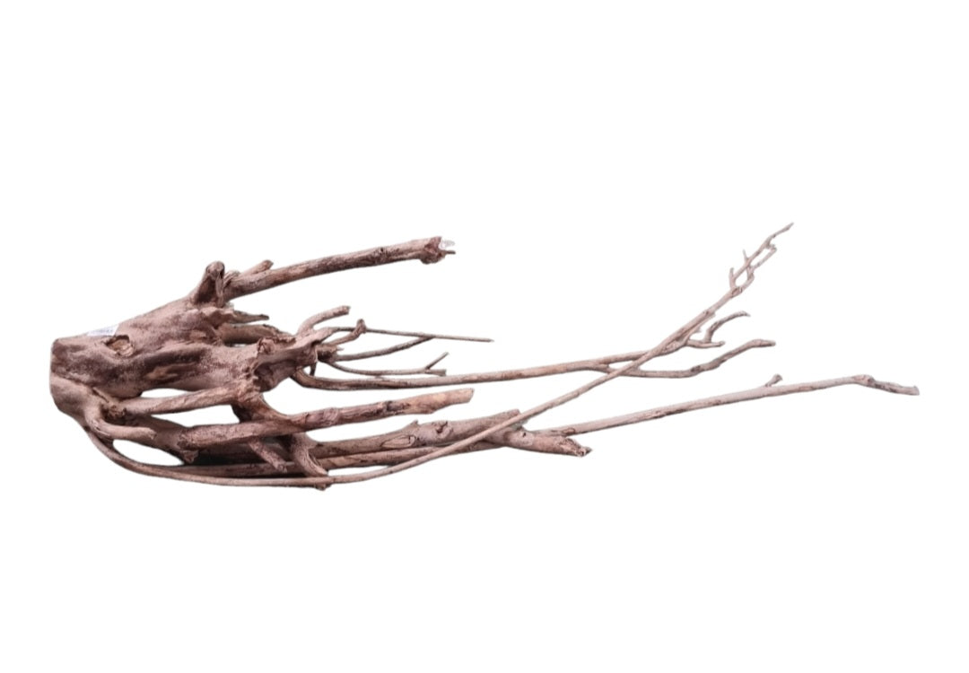 Talawa Holz / Wood 80-100 cm   Nr. 679