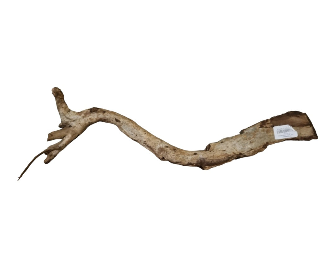 Talawa Holz/Wood 30-45cm  Nr. 239