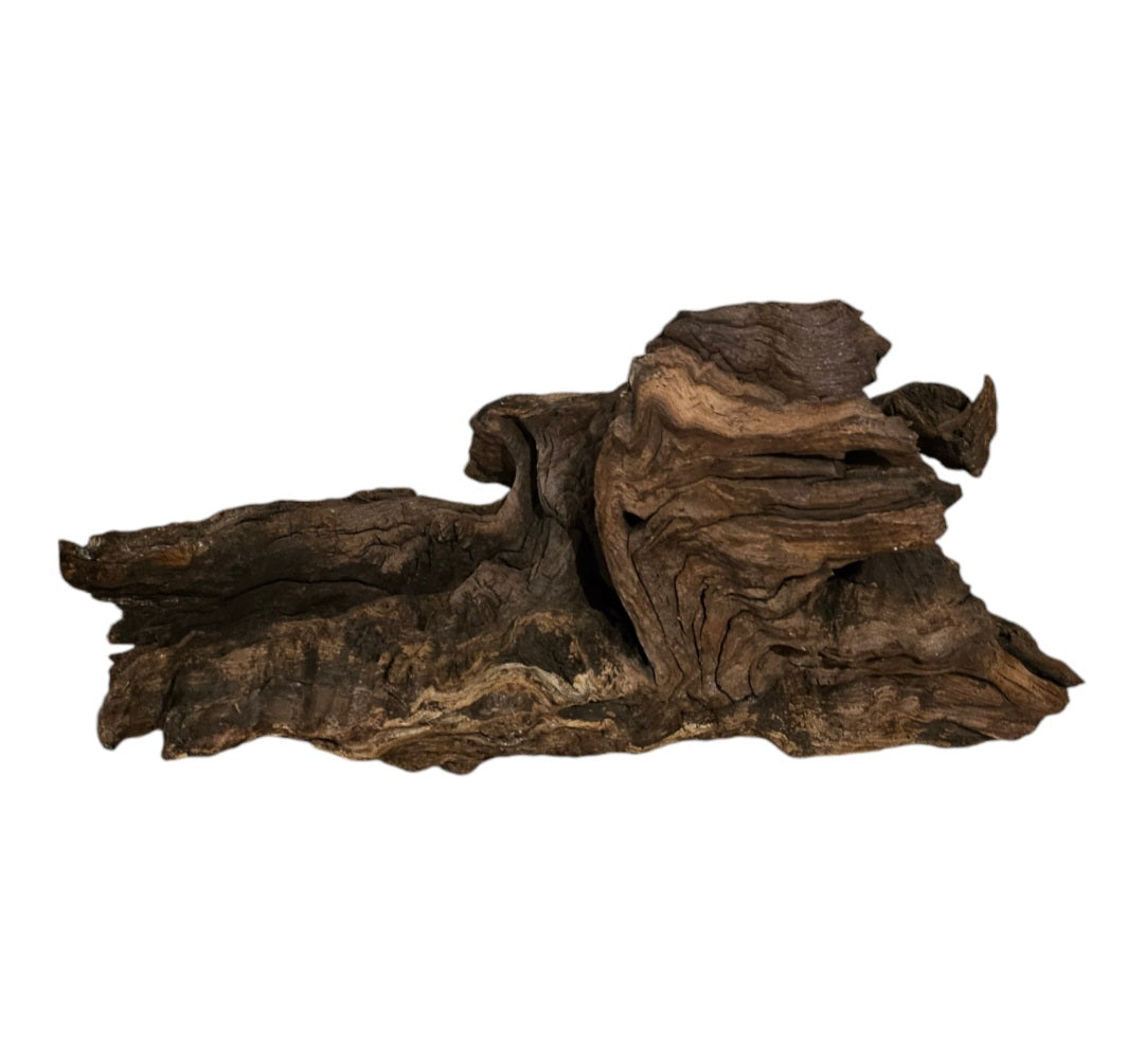 Driftwood / Flusswurzel   Nr.212