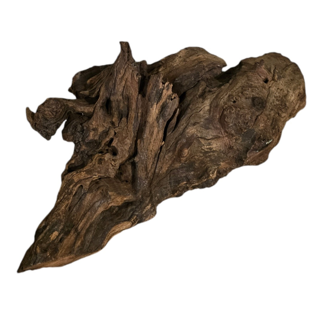 Driftwood / Flusswurzel   Nr.212