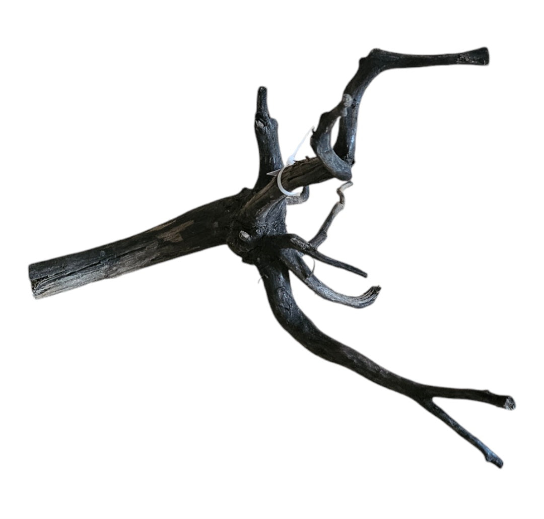 Black Root S  Nr.459