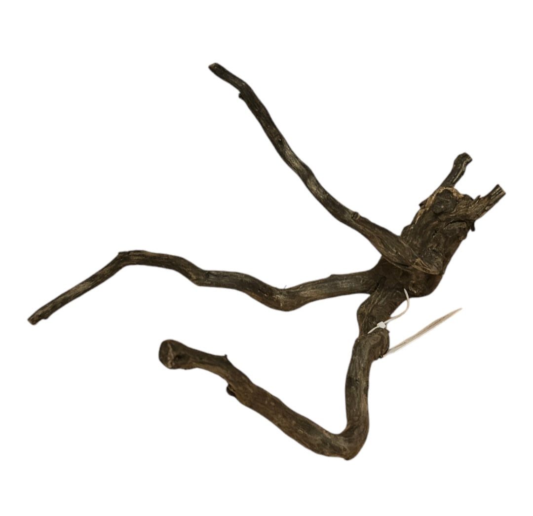 Black Root S  Nr.772