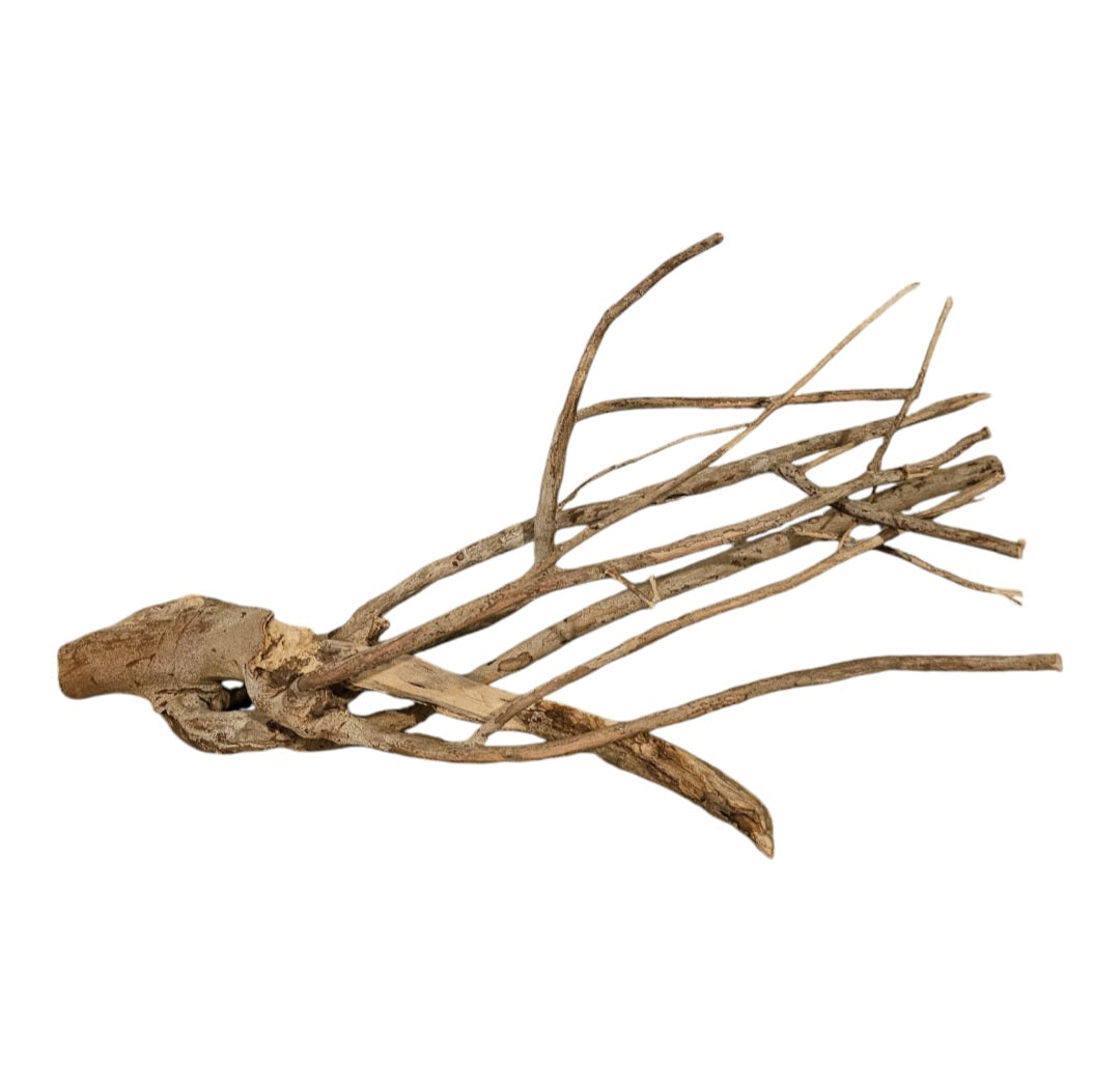 Talawa Holz / Wood 50-70 cm   Nr. 678
