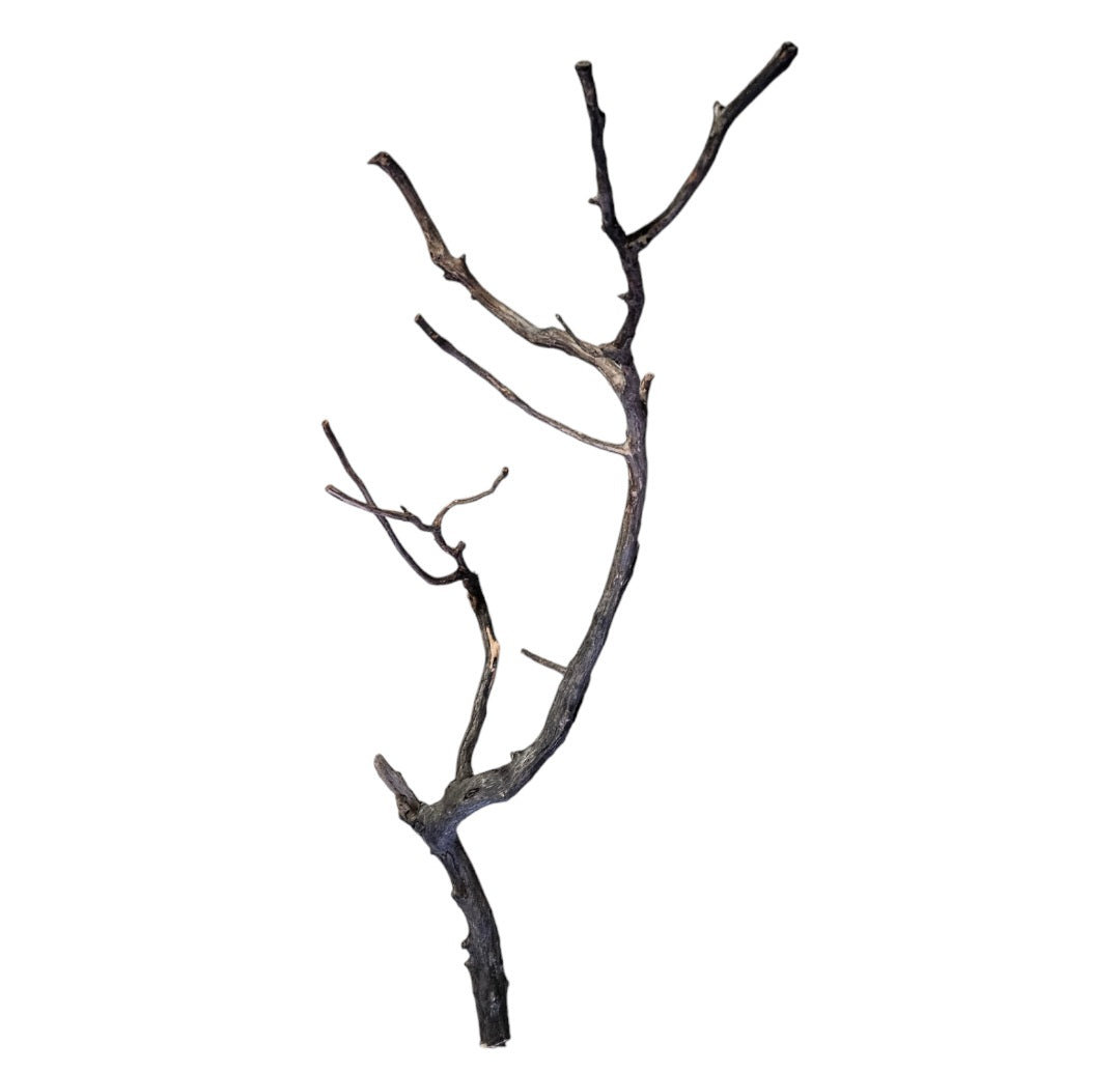 Octopus Wood  Nr. 809