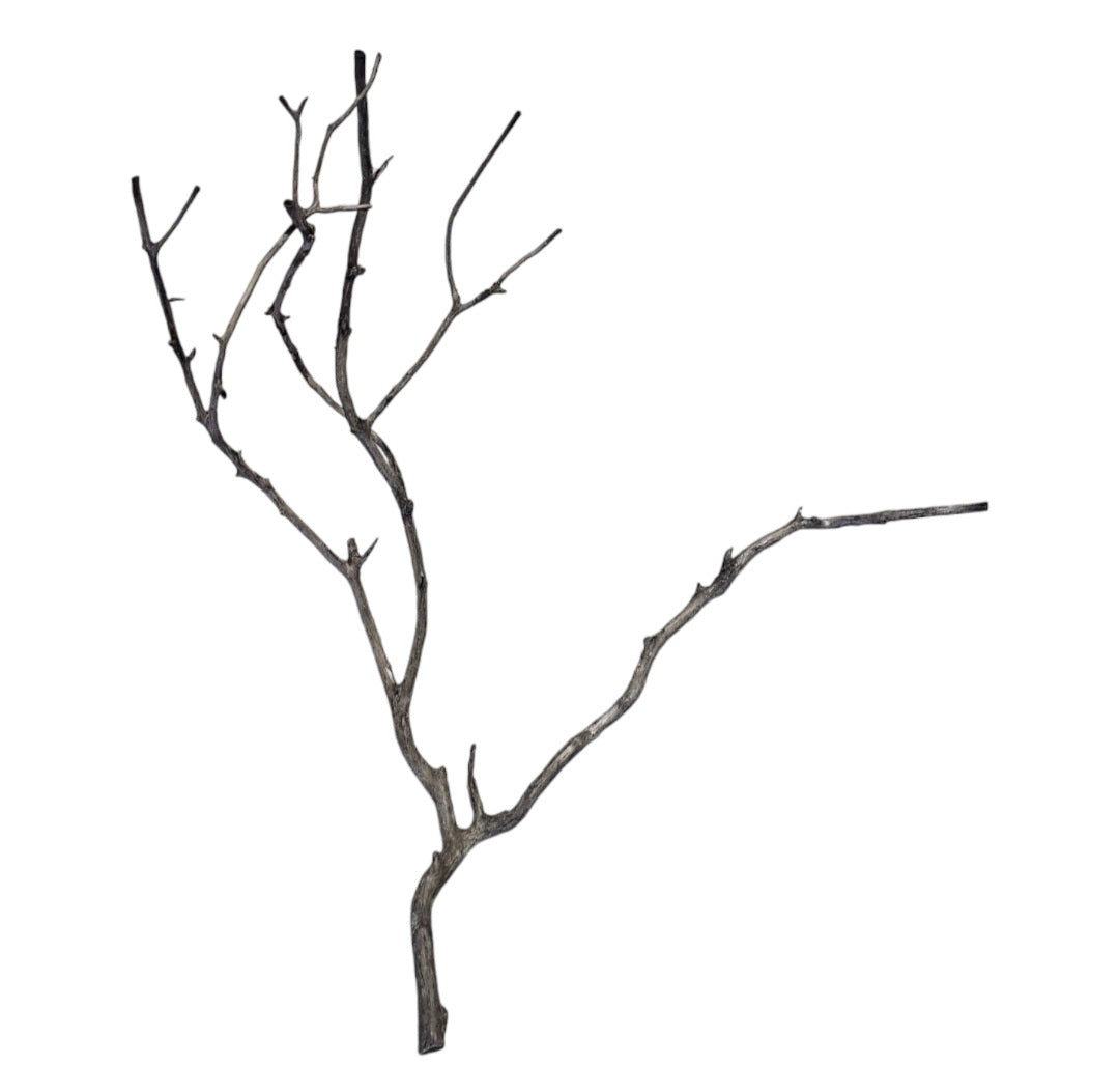 Octopus Wood  Nr. 813