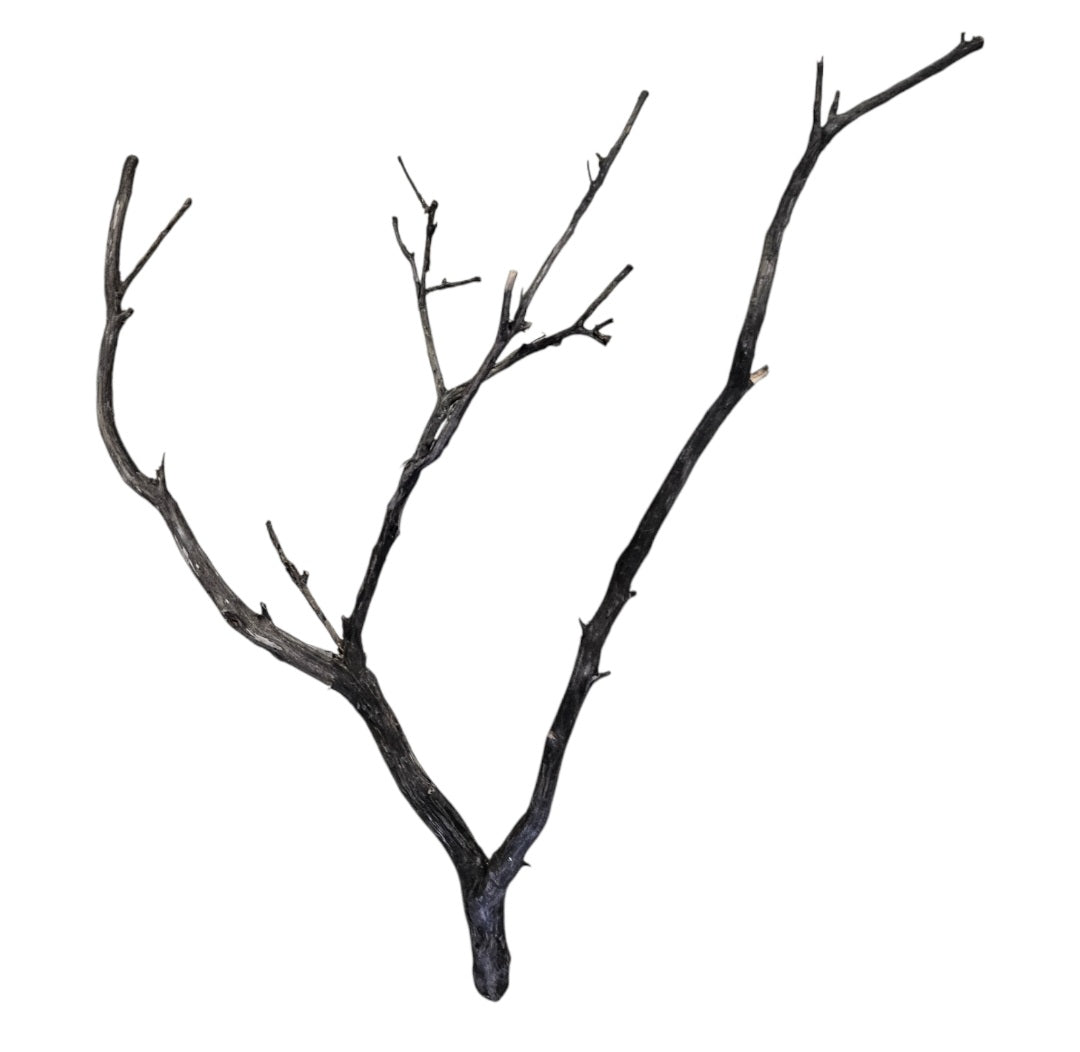Octopus Wood  Nr. 820