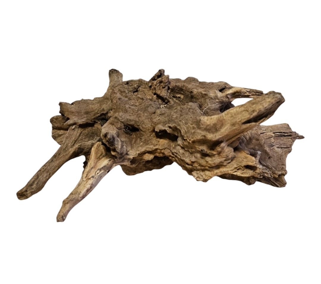 Coral Sinker Wood   Nr.554