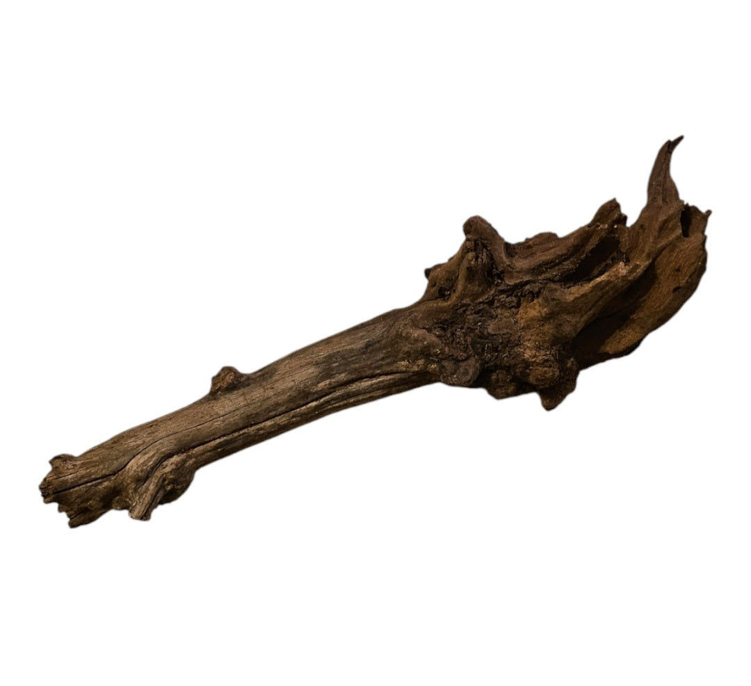 Coral Sinker Wood   Nr.629