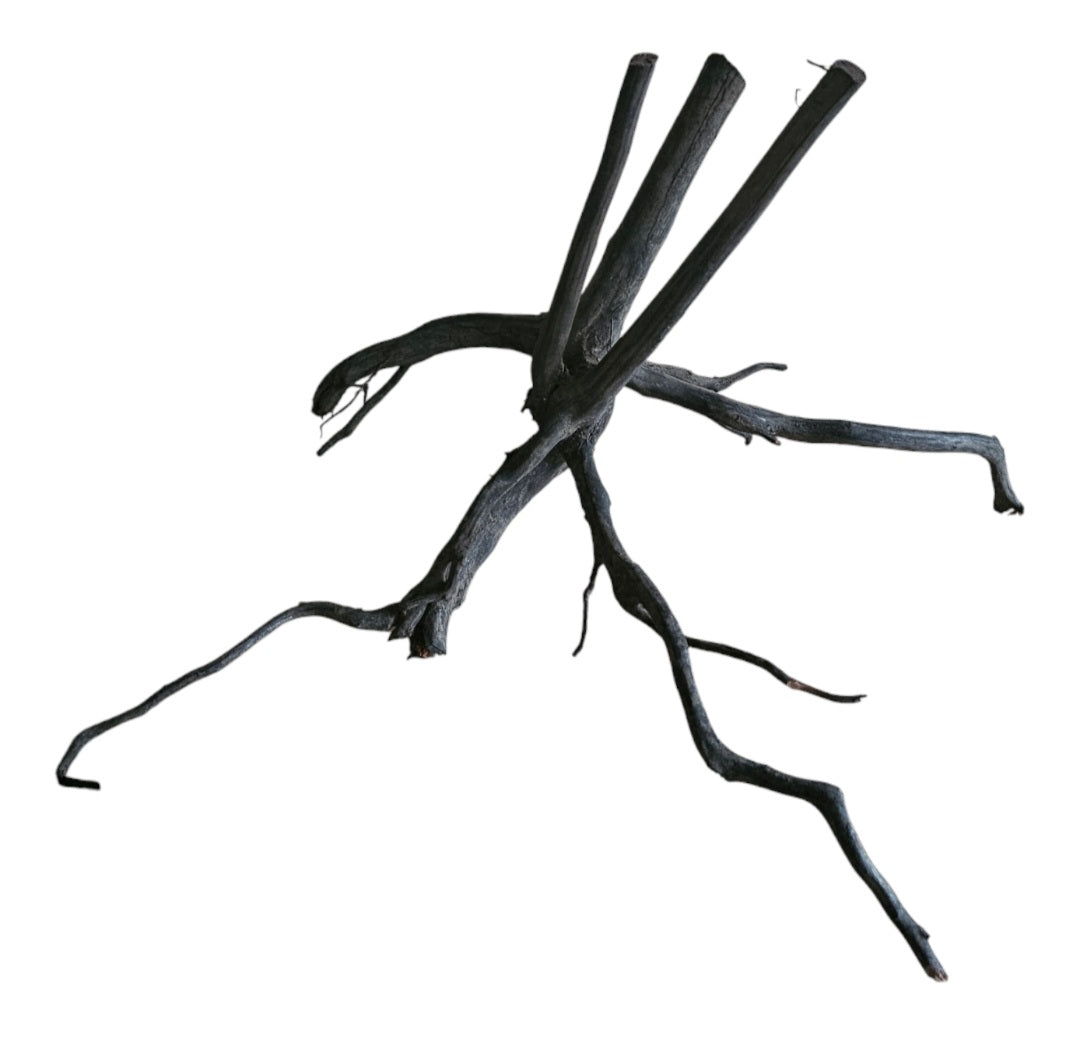 Black Root  Nr.749