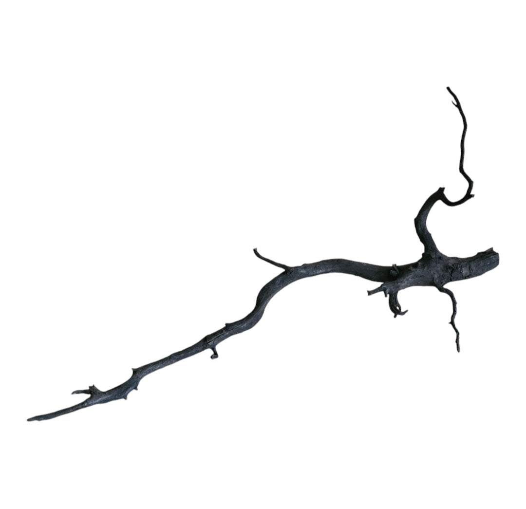 Black Root  Nr.753