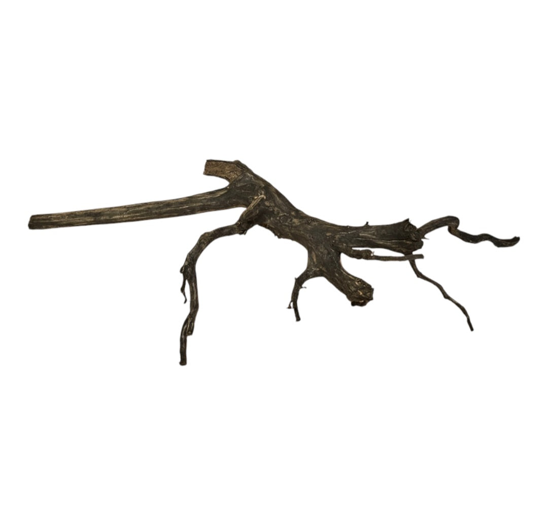 Black Root  Nr.763