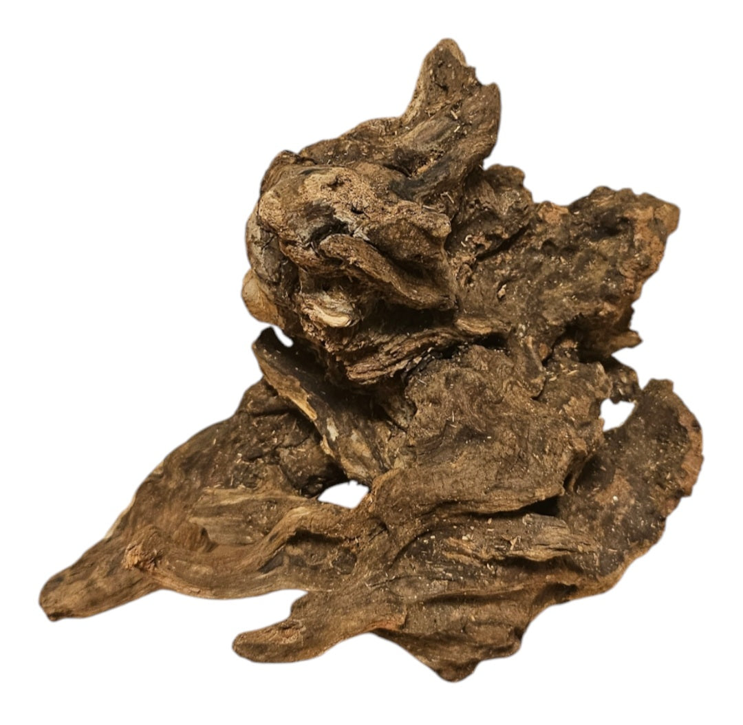 Coral Sinker Wood   Nr.639