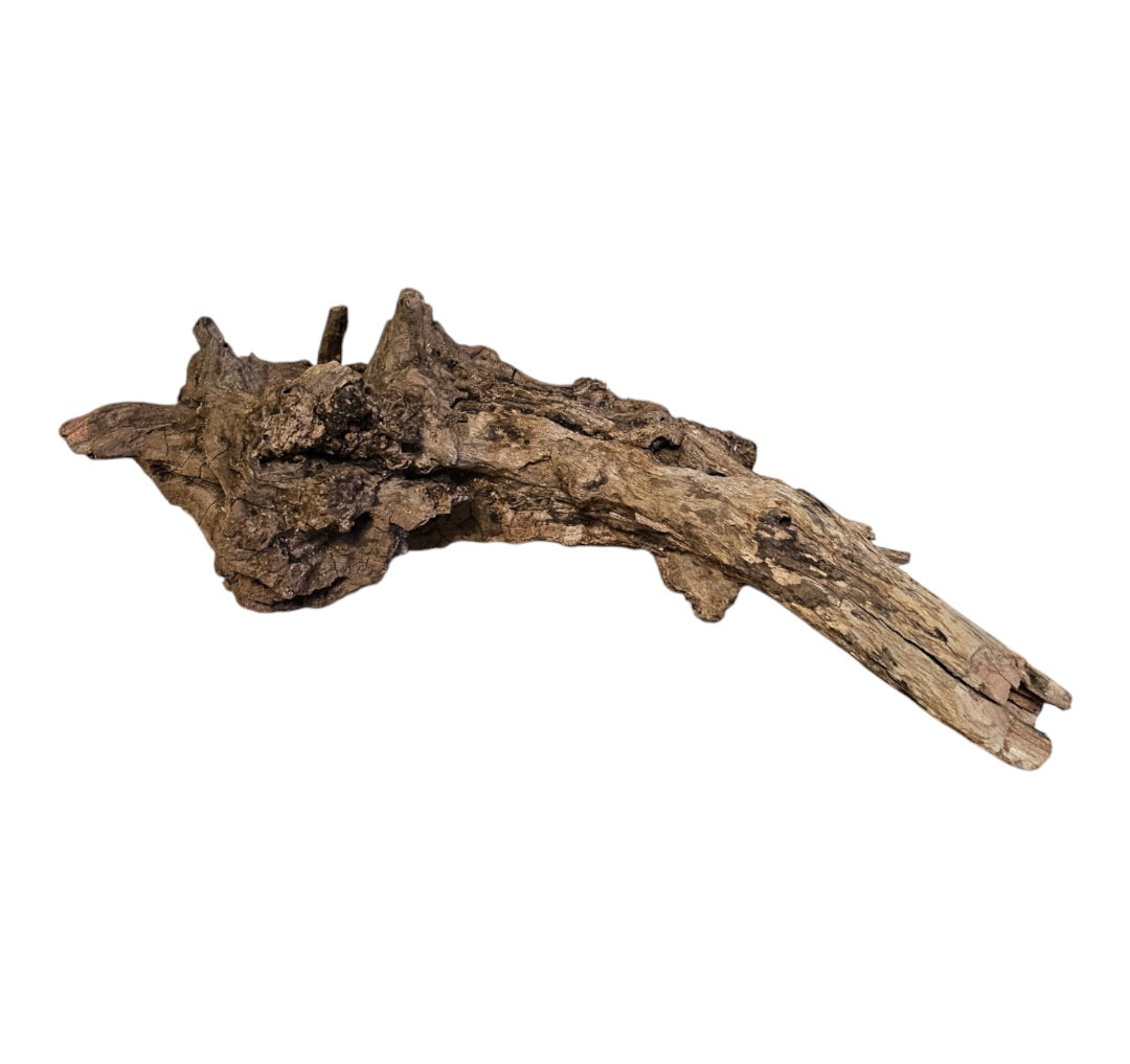 Coral Sinker Wood   Nr. 865