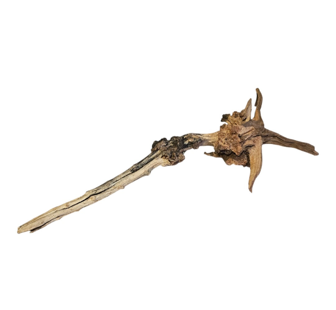 Coral Sinker Wood   Nr. 866