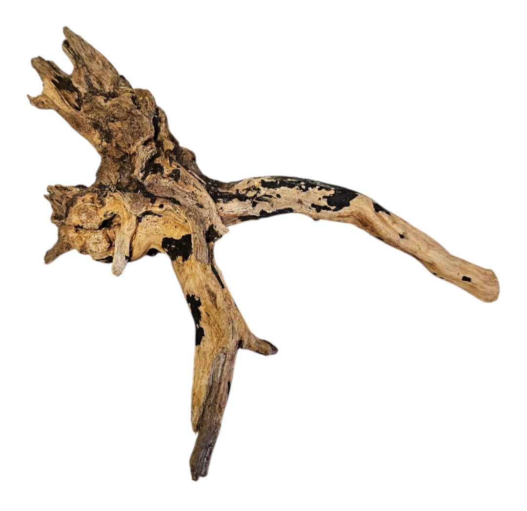 Coral Sinker Wood   Nr. 872
